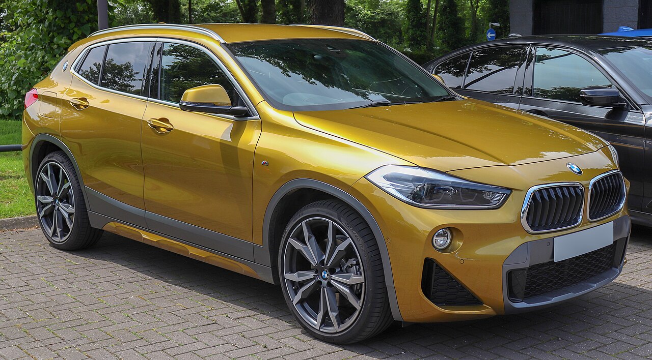 BMW X2 sDrive20i M Sport X ảnh 1