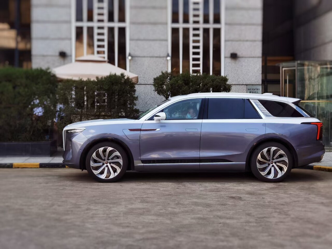 Hongqi E-HS9 Flagship ảnh 2