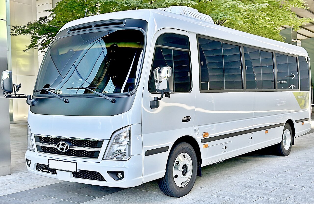 Hyundai County Limousine ảnh 2