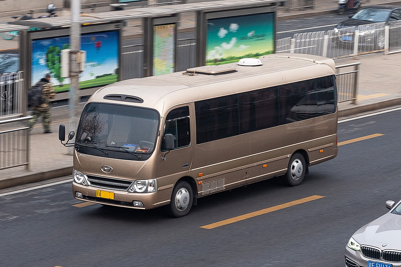 Hyundai County Limousine ảnh 3