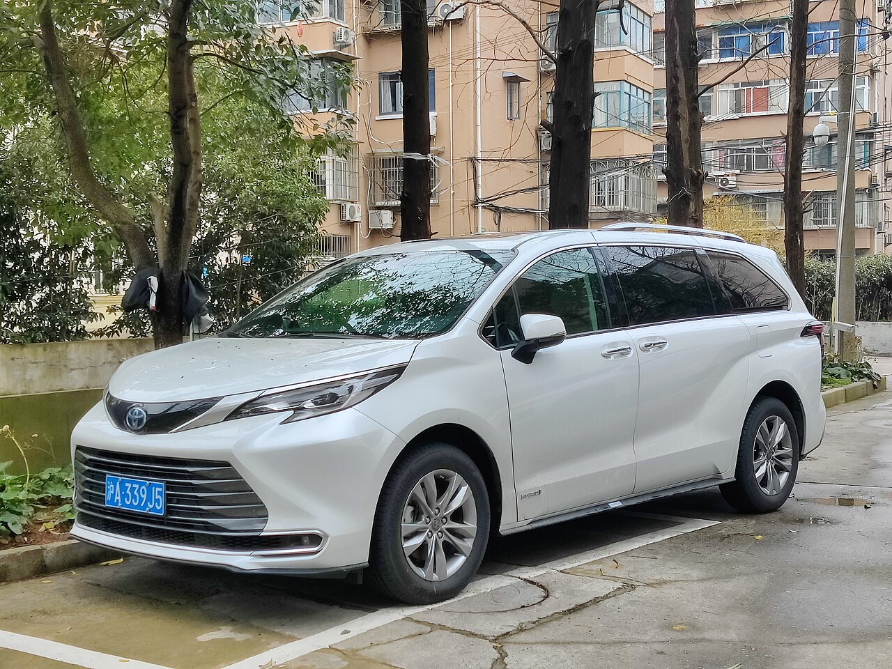 Toyota Sienna LE 2.7 ảnh 1